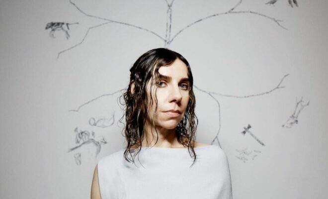 PJ Harvey Pets