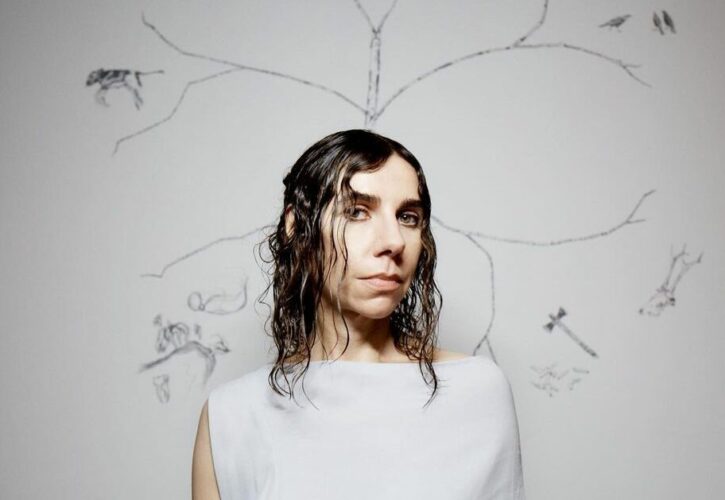 PJ Harvey Pets