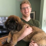 Phil Lesh's pet Leonberger