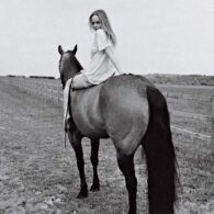 Stella McCartney's pet Horses