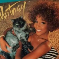 Whitney Houston's pet Misty Blue