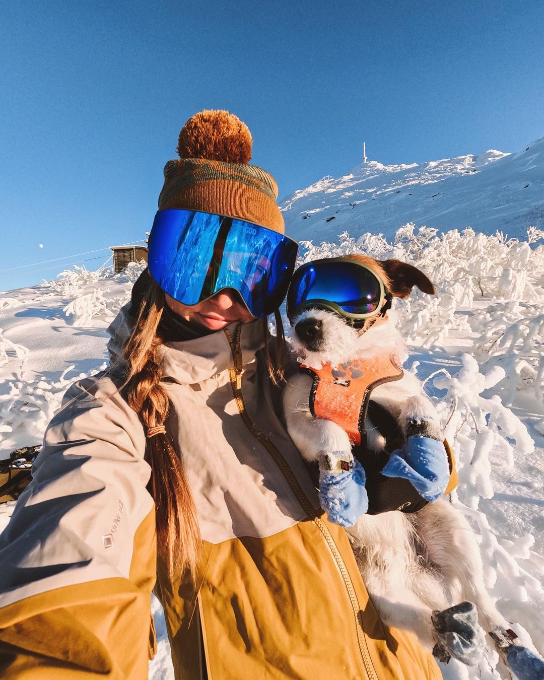@elisabethmathisen and @acejrt skiing dog Norway