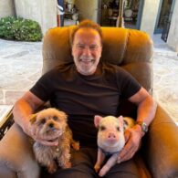 Arnold Schwarzenegger's pet Schnelly