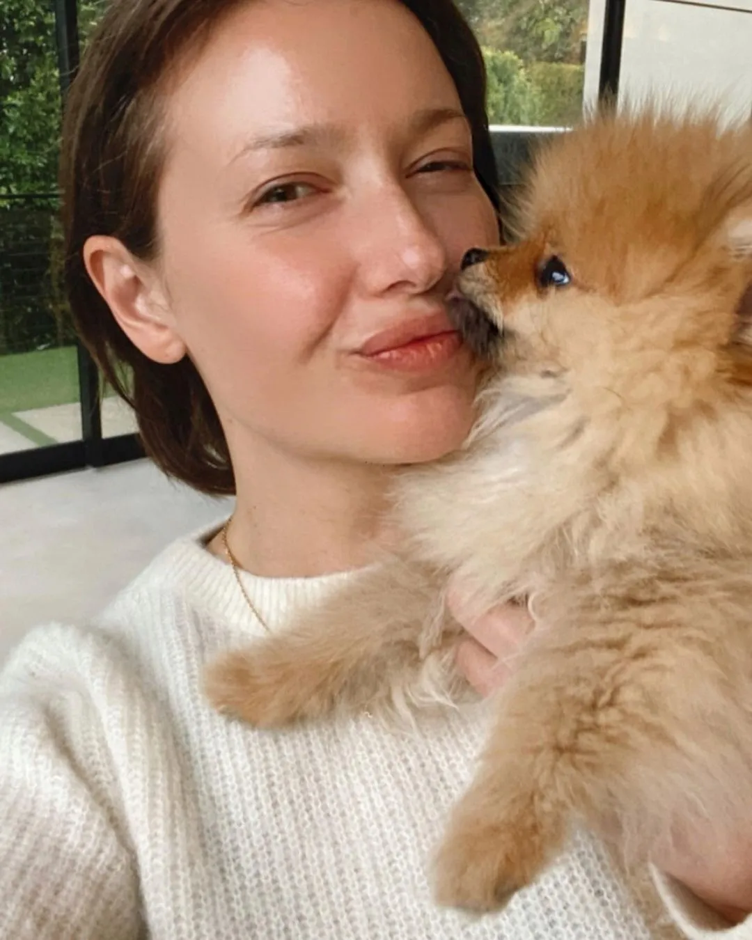 Bobby Flay Pets Celebrity Pets