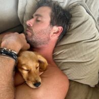Chris Hemsworth's pet Cocker Spaniel