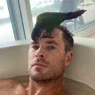 Chris Hemsworth's pet Parrots