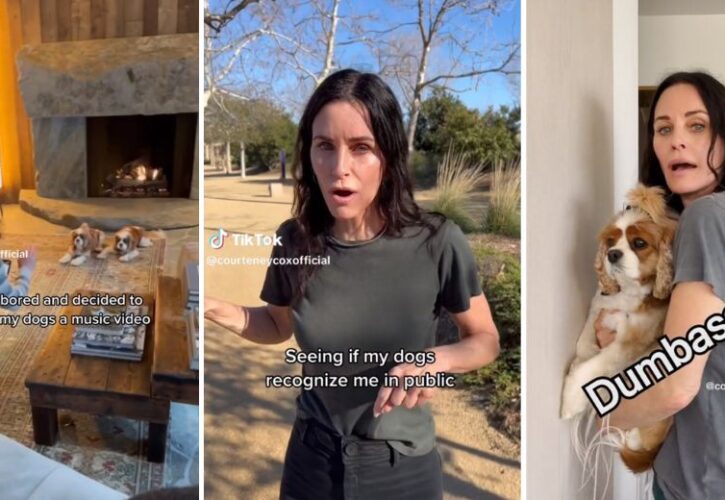Courteney Cox Is an Obsessed Dog Mom Trying Her Best