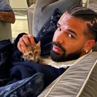 Drake's pet Crodie