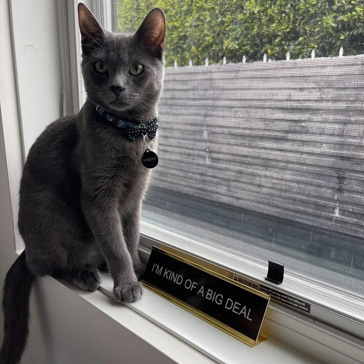 Heather Dubrow Pets - Celebrity Pets