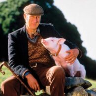 James Cromwell's pet Babe the Pig (From the movie "Babe")