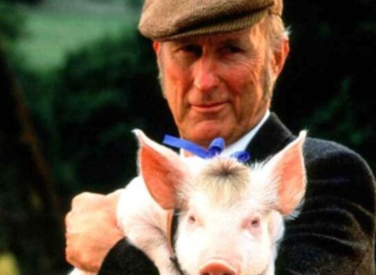 James Cromwell Pets