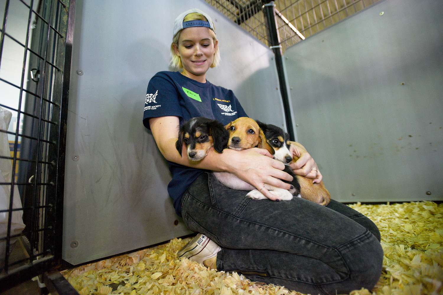 Kate Mara Animal Rescue