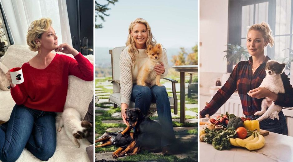 Katherine Heigl Pet clothing accessories shop for charity