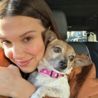 Millie Bobby Brown's pet Pepperoni