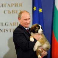 Vladimir Putin's pet Buffy