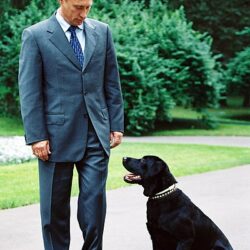 Vladimir Putin Pets - Celebrity Pets