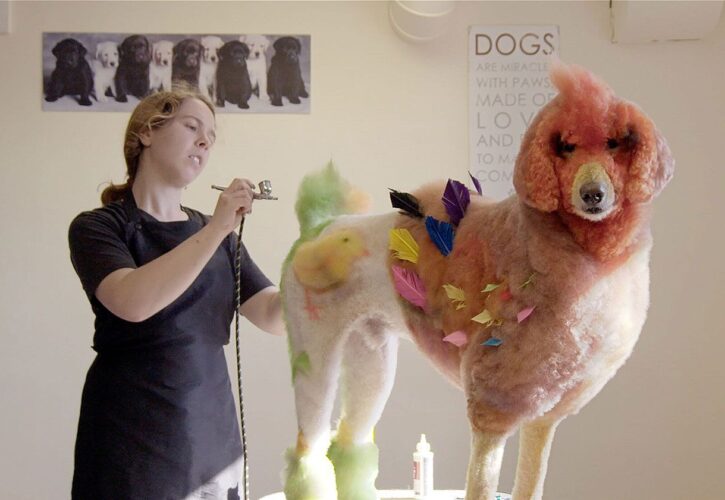 Furry Fashionistas: The Wild World of Competitive Dog Grooming