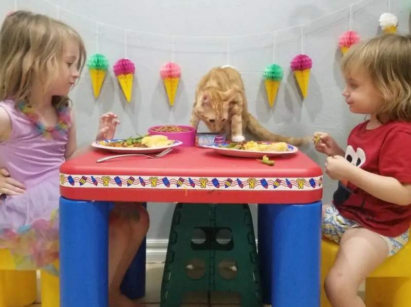 Kid's lasagna birthday part with orange Garfield cat