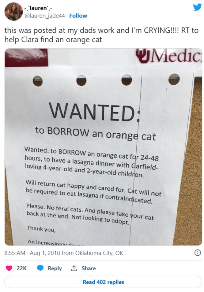 Viral tweet about poster looking for orange cat for kid's birthday party