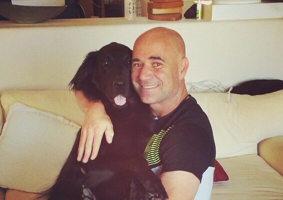 Andre Agassi Pets