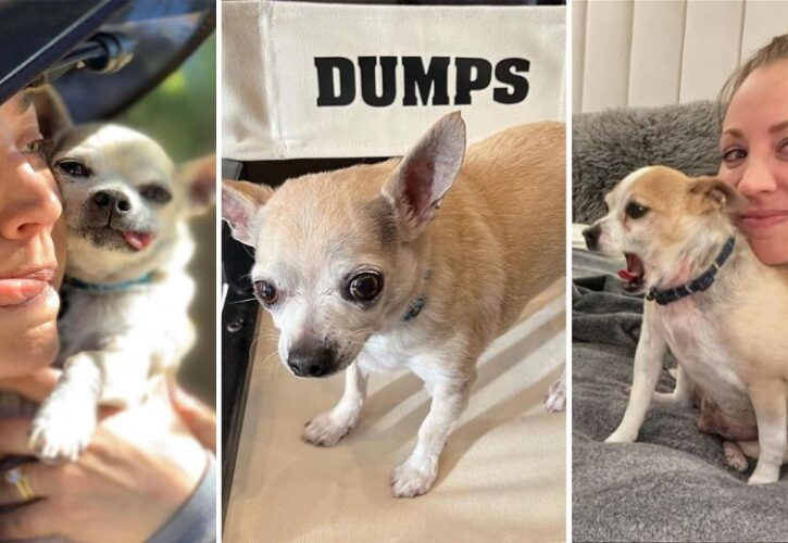 Dump Truck, Kaley Cuoco's Beloved Rescue Dog, Has Passed Away