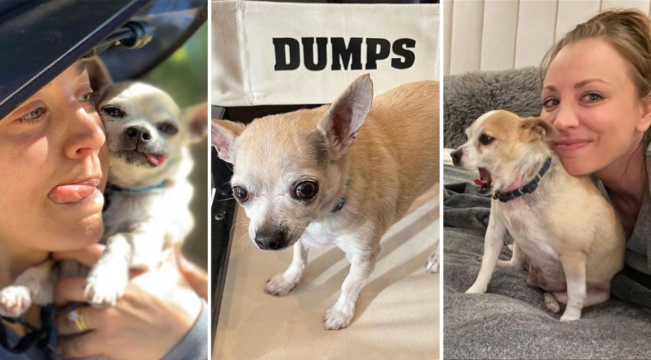 Kaley Cuoco Chihuahua dog Dump Truck passed away