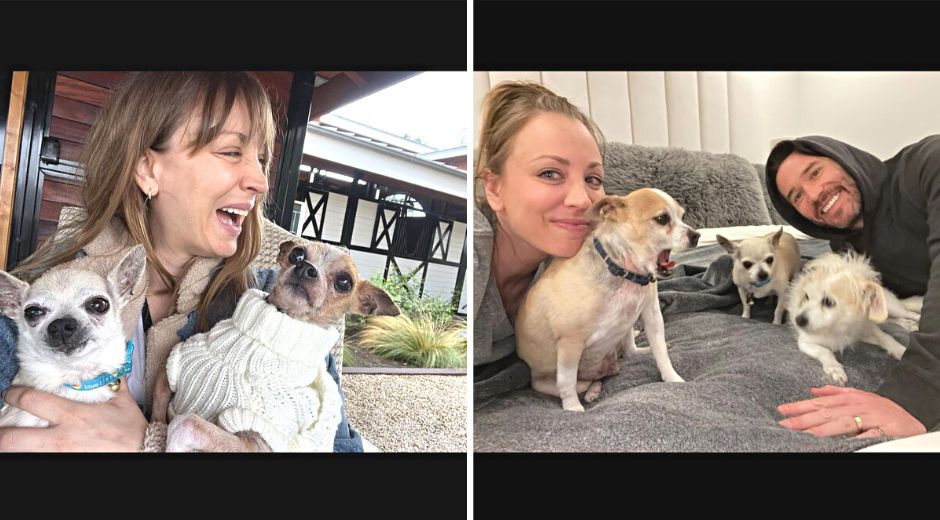 Kaley Cuoco adopted the senior rescue Chihuahua in 2020, who enjoyed two love-filled years before passing away in May 2023.