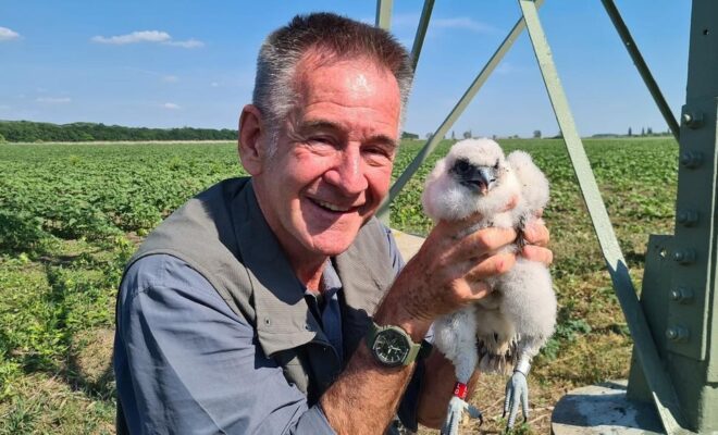 Nigel Marven Pets