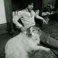 Prince (Musician)'s pet Dogs and Cats