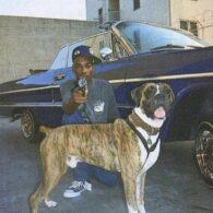 Snoop Dogg's pet Boxer