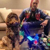 Snoop Dogg's pet Labradoodle