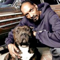 Snoop Dogg's pet Mamba