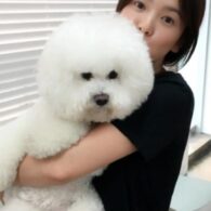 Song Hye Kyo's pet Boon Hong