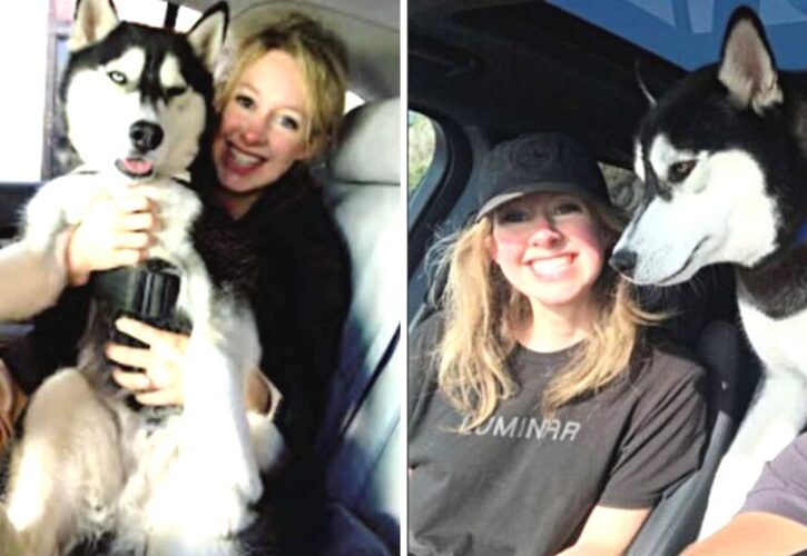 Theranos Founder Elizabeth Holmes’ Claimed Her Husky Balto Was a “Wolf”, Became the Perfect Metaphor for Her Fraud Scandal