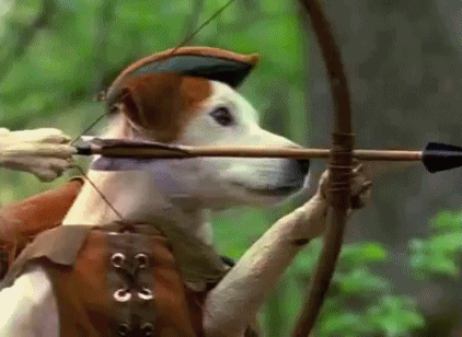 Wishbone dog playing Robin Hood