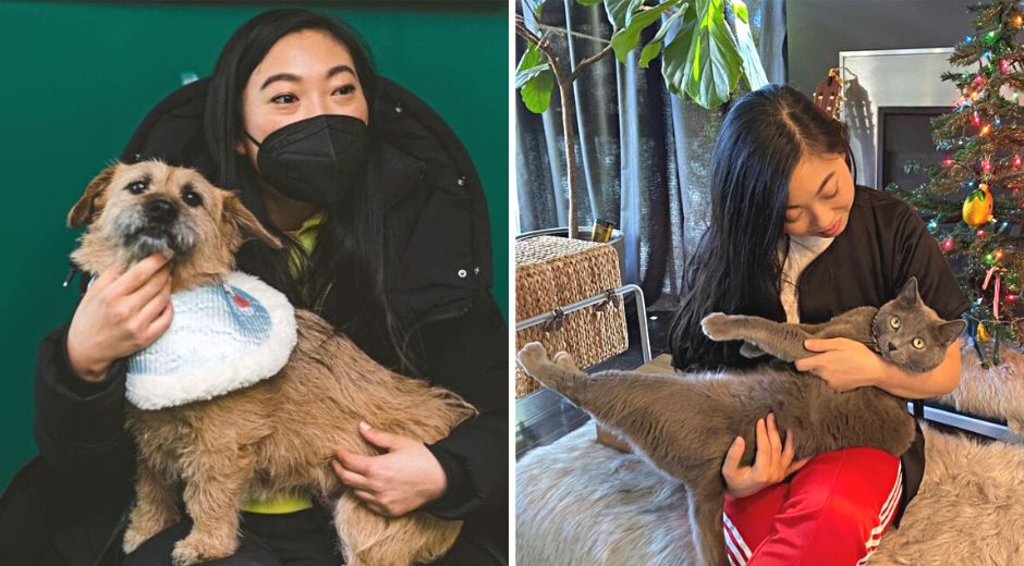Awkwafina rescue dog and cat