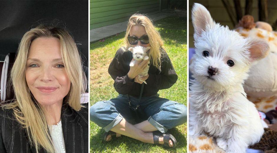 Catwoman Michelle Pfeiffer adopts rescue puppy named Dot