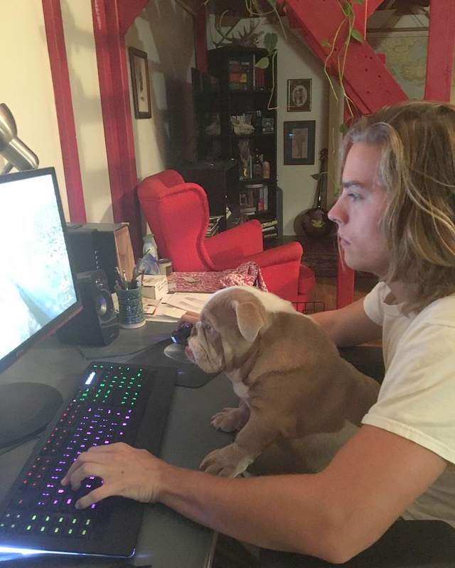 Dylan Sprouse with his Bulldog Magnus at his computer