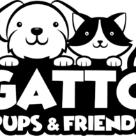 Joe Gatto's pet Gatto Pups