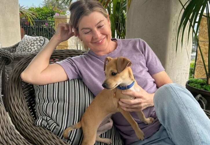 ‘Grey’s Anatomy’ Star Ellen Pompeo Adds New Puppy to Her Rescue Dog Gang