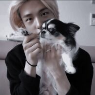 Hyunjin's pet Kkami