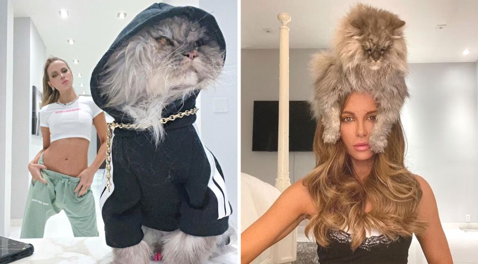 Kate Beckinsale Mourns the Loss of Clive, Her Beloved Persian Cat