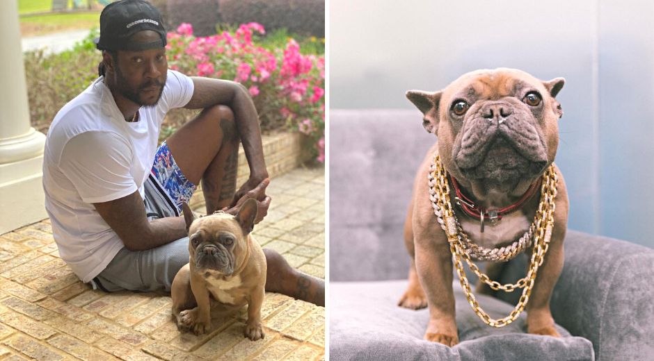 Rapper 2 Chainz dog trappy has died