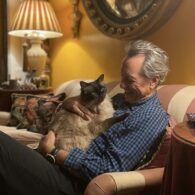 Richard E. Grant's pet Cat Babysitter