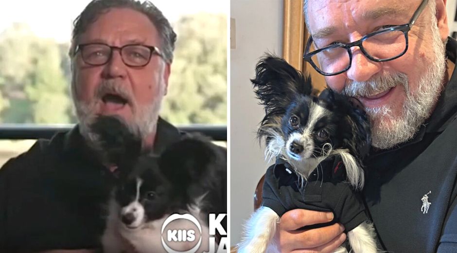 Russel Crowe new Papillion puppy delivered by private jet