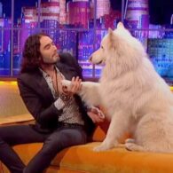 Russell Brand's pet Brian