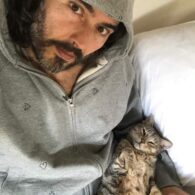 Russell Brand's pet 16 Cats