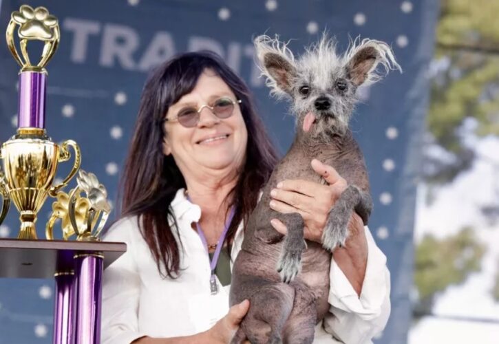 Meet Scooter the Chinese Crested - Winner of the 2023 World's Ugliest Dog Contest!
