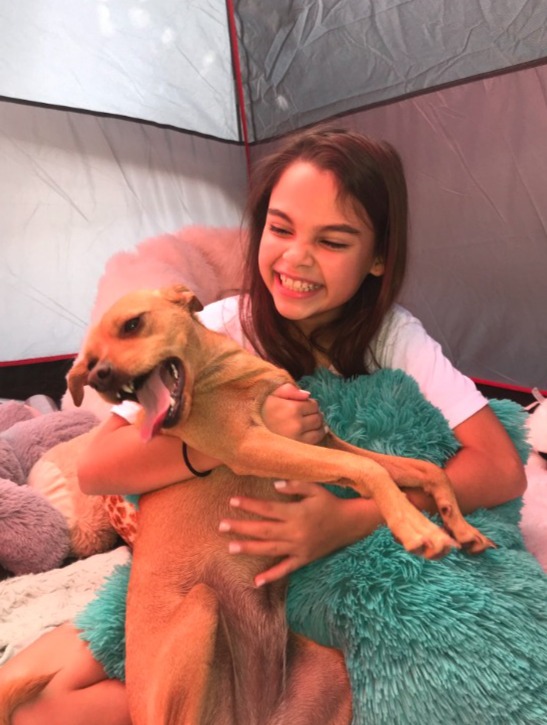Ariana Greenblatt rescue dog Foxy