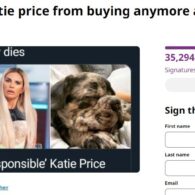 Katie Price's pet Change.org Petition to ban Katie Price from buying animals